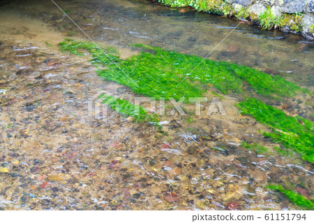 Scenery of the castle town Sawabata River Shiraishi City, Miyagi Prefecture Scenery of the castle town Sawabata River Shiraishi City, Miyagi Prefecture 61151794