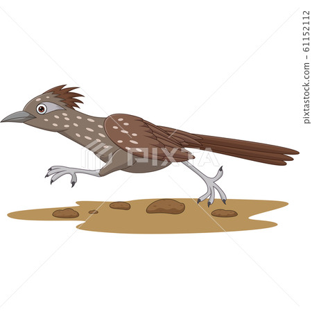 Cartoon Roadrunner bird running on the road 61152112