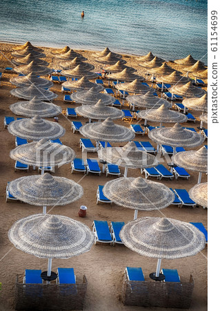 beach in the egypt beach in the egypt 61154699