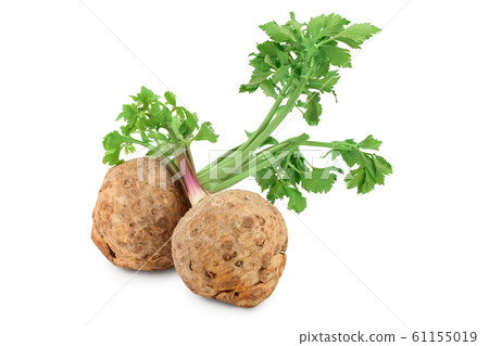 Fresh celery root with leaf isolated on white background Fresh celery root with leaf isolated on white background 61155019
