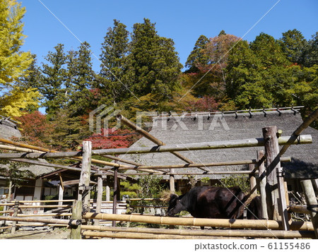 Mishu Asuke大廈（Korankei） 61155486