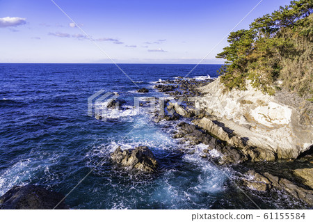 （神奈川縣）荒崎海灘磯 61155584