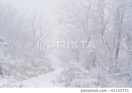 暴風雪山脈福島縣萬代鎮 61155751
