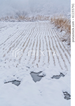 Paddy field in mountainous area Snowstorm day Bandai town, Fukushima prefecture 61155791