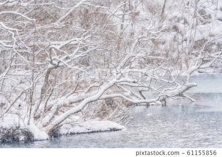 Winter Goshikinuma (Bisammonuma), Kitashiobara Village, Fukushima Prefecture 61155856