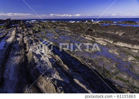(Kanagawa Prefecture) Arasaki Beach Iso 61155863