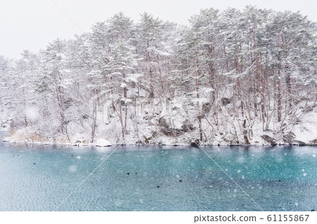 福島縣北尾原村冬季越木沼（Bisammonuma） 61155867
