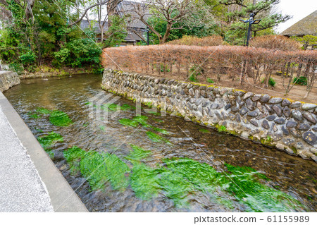 Scenery of the castle town Sawabata River Shiraishi City, Miyagi Prefecture 61155989