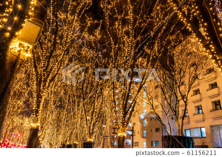 SENDAI Hikari Pageant 2019 Sendai City, Miyagi Prefecture 61156211