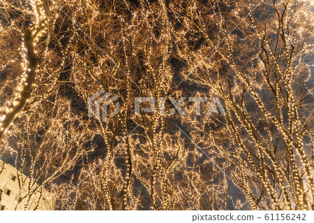 SENDAI Hikari Pageant 2019 Sendai City, Miyagi Prefecture 61156242