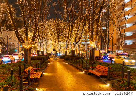 SENDAI Hikari Pageant 2019 Sendai City, Miyagi Prefecture 61156247