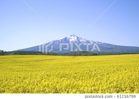 Iwakiyama和強姦花場 61156799