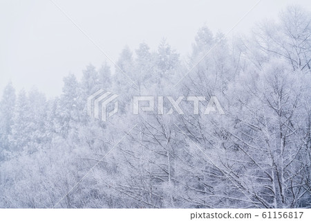 Snowstorm Mountains Fukushima Prefecture Bandai Town Snowstorm Mountains Fukushima Prefecture Bandai Town 61156817