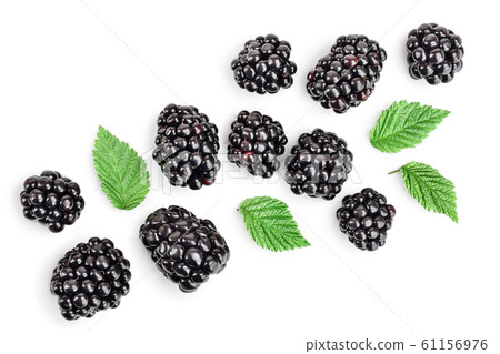 Fresh blackberry with leaves isolated on white background. Top view. Flat lay pattern 61156976