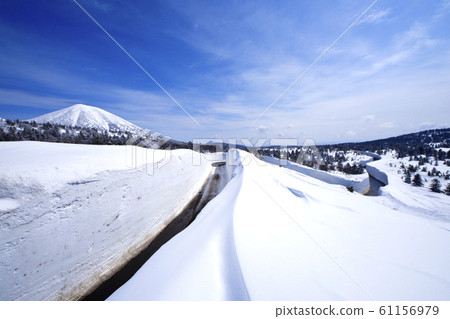 八甲田雪廊 61156979