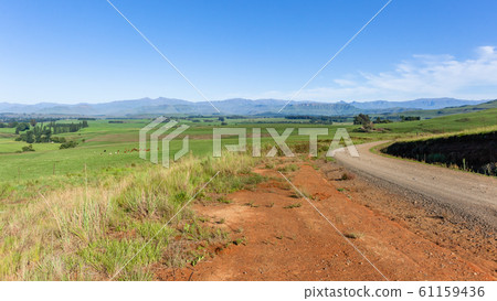 Dirt Road Mountains Cattle Summer Landscape 61159436