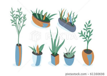 Plants in pots flat vector illustrations set 61160698
