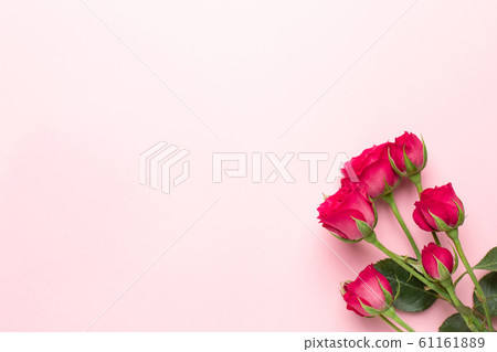 Pink roses flowers on pink background with copyspace. Minimalistic composition for Valentine's day day and holidays. Pink roses flowers on pink background with copyspace. Minimalistic composition for Valentine's day day and holidays. 61161889