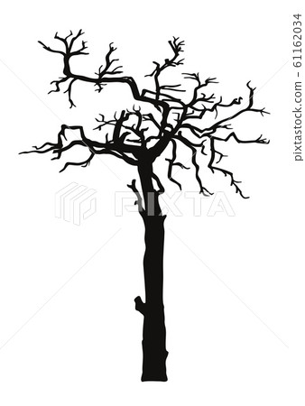 Black Silhouette Old Crooked Tree Without Leaves 스톡일러스트 61162034 Pixta