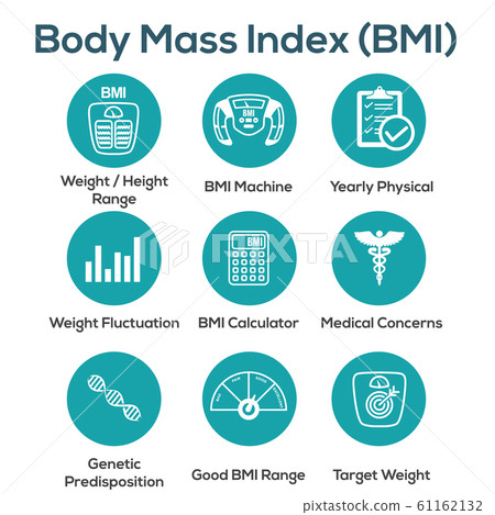 Bmi categories chart body mass index and scale Vector Image