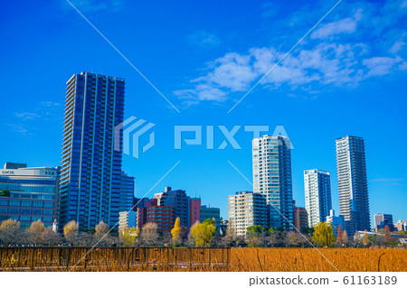 冬季忍者池塘風景標籤：冬季忍者池塘風景風景 61163189