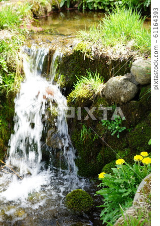 Azumi Park in the Northern Alps 61164393