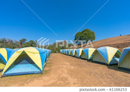 Camping on the mountain at Nan Thailand. 61166253