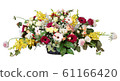 插花 61166420