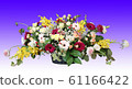 插花 61166422
