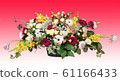 插花 61166433