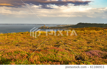 heather fields on cap frehel in romantic travel heather fields on cap frehel in romantic travel 61166911