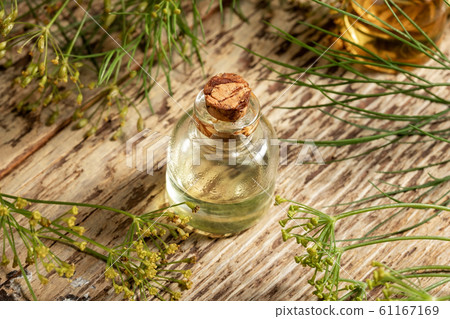 A bottle of dill seed oil with blooming Anethum graveolens A bottle of dill seed oil with blooming Anethum graveolens 61167169