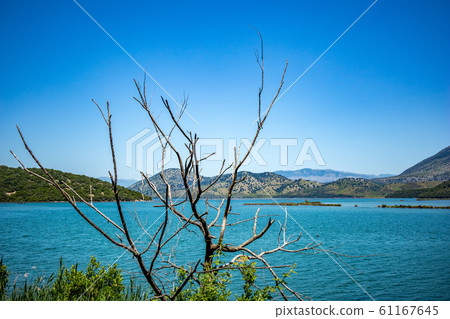 Butrint, Albania, park spring view Butrint, Albania, park spring view 61167645