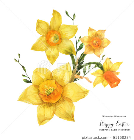 Yellow spring floral bouquet with daffodil flowers Yellow spring floral bouquet with daffodil flowers 61168284