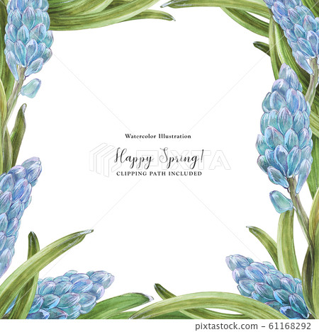 Spring watercolor square frame with hyachinth Spring watercolor square frame with hyachinth 61168292
