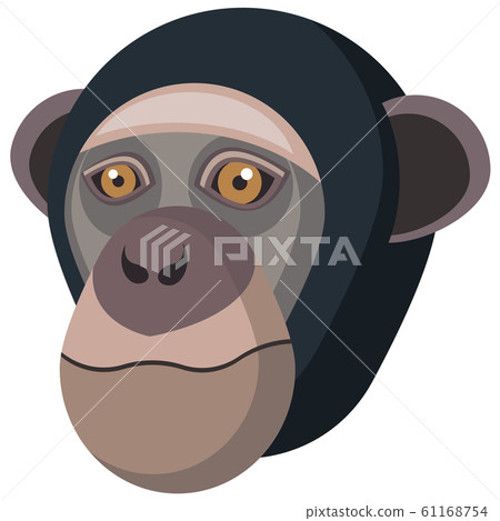 Chimpanzee portrait made in unique simple cartoon style. Head of monkey. Isolated icon for your design Chimpanzee portrait made in unique simple cartoon style. Head of monkey. Isolated icon for your design 61168754