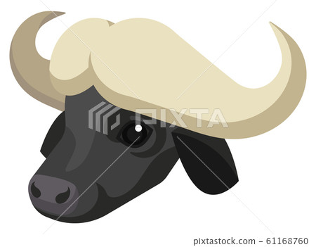 Cape buffalo portrait made in unique simple cartoon style. Vector head of buffalo. Isolated artistic stylized icon for your design 61168760