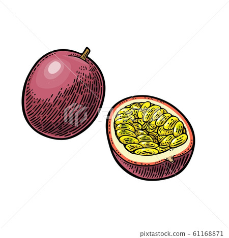 Whole and half maracuya with seed. Vector Whole and half maracuya with seed. Vector 61168871