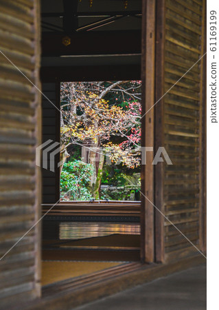A photo of the autumn scenery cut out using doors, floors, tatami mats, etc. Nanzenin Kyoto A photo of the autumn scenery cut out using doors, floors, tatami mats, etc. Nanzenin Kyoto 61169199