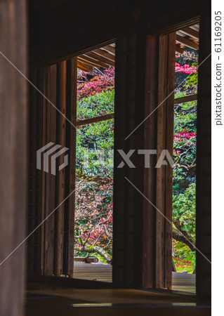 使用門，地板，榻榻米等剪裁的秋天風景照片。Nanzenin Kyoto 61169205