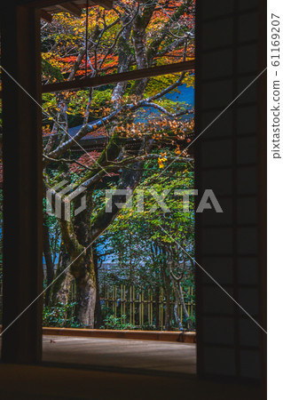 使用門,地板,榻榻米等剪裁的秋天風景照片。Nanzenin Kyoto 使用門,地板,榻榻米等剪裁的秋天風景照片。Nanzenin Kyoto 61169207