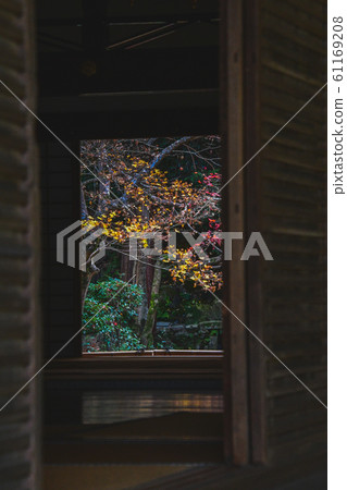 使用門,地板,榻榻米等剪裁的秋天風景照片。Nanzenin Kyoto 使用門,地板,榻榻米等剪裁的秋天風景照片。Nanzenin Kyoto 61169208