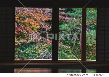 A photo of the autumn scenery cut out using doors, floors, tatami mats, etc. Nanzenin Kyoto 61169209