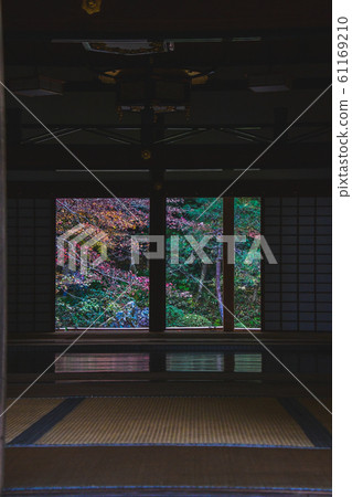使用門,地板,榻榻米等剪裁的秋天風景照片。Nanzenin Kyoto 使用門,地板,榻榻米等剪裁的秋天風景照片。Nanzenin Kyoto 61169210