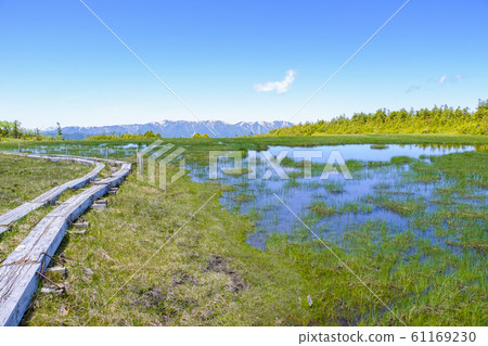 田代沼澤的池塘和木棧道 61169230