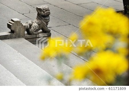 Mr. Chen's House Mr. Chen's House 61171809