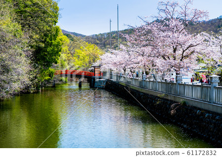 Takeda Shrine, Kofu City, Yamanashi Prefecture 61172832