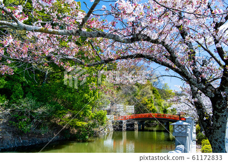 Takeda Shrine, Kofu City, Yamanashi Prefecture Takeda Shrine, Kofu City, Yamanashi Prefecture 61172833
