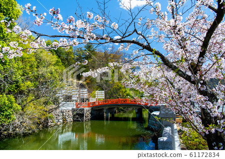 Takeda Shrine, Kofu City, Yamanashi Prefecture 61172834