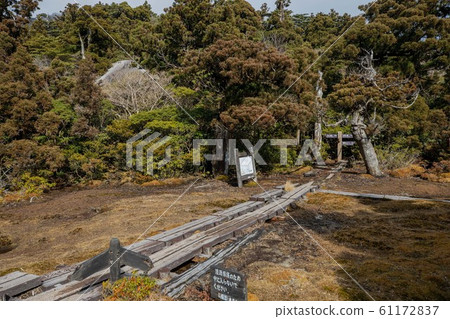 Yakushima Hanayugawa 61172837